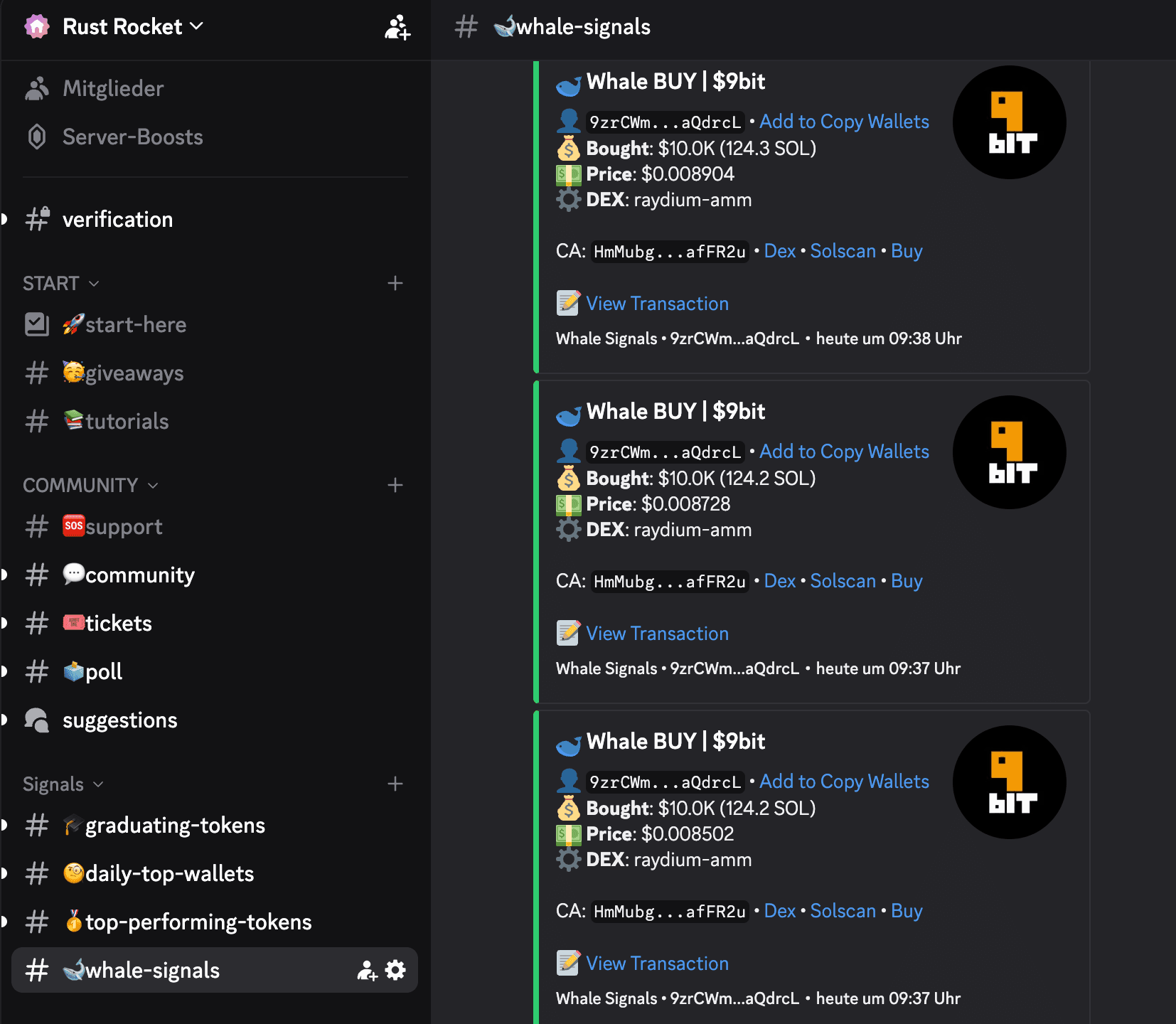Real-Time Whale Signals